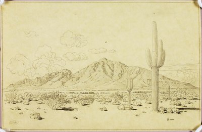 Sem título (desenho de transferência para Camelback Mountain, Phoenix) de George Elbert Burr