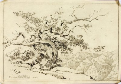 Sem título (desenho de transferência para Entardecer, Apache Trail, Arizona) de George Elbert Burr