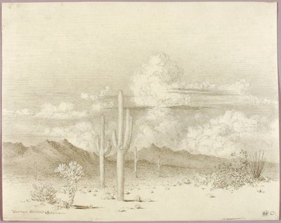 Sem título (desenho de transferência para Entardecer, Paradise Valley, Arizona) de George Elbert Burr