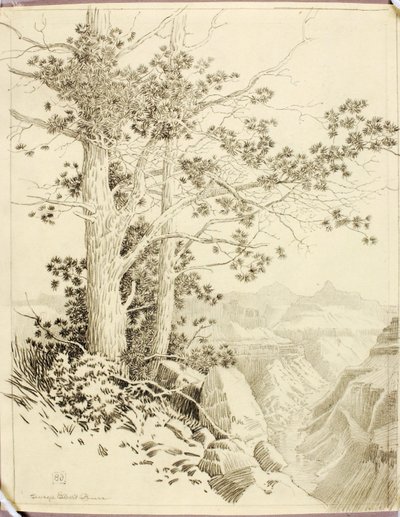 Sem título (desenho de transferência para impressão) de George Elbert Burr