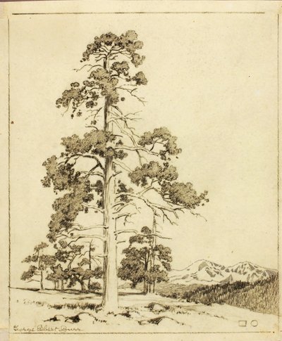 Sem título (desenho de transferência para impressão) de George Elbert Burr