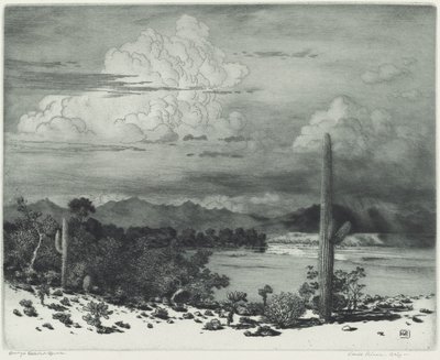 Rio Verde, Arizona de George Elbert Burr