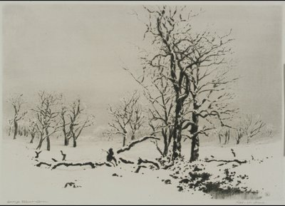 Inverno (n.º 1) de George Elbert Burr