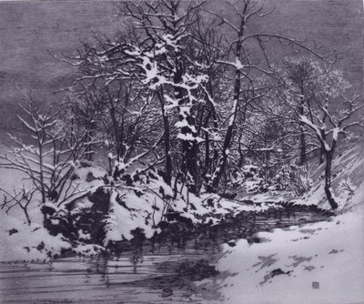 Manhã de inverno de George Elbert Burr