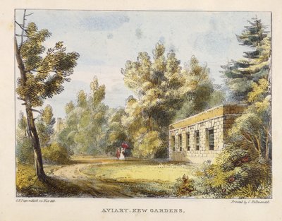 Aviary, Kew Gardens, prato 10 de Kew Gardens: Uma série de vinte e quatro desenhos sobre pedra, gravada por Charles Hullmandel (1789-1850), publicada em 1820 (litografia colorida à mão) de George Ernest after Papendiek