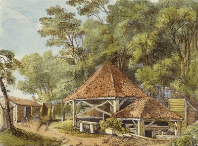 Obras de água, Kew Gardens, prato 22 de Kew Gardens: Uma série de vinte e quatro desenhos sobre pedra, gravada por Charles Hullmandel (1789-1850), publicada em 1820 (litografia colorida à mão) de George Ernest after Papendiek