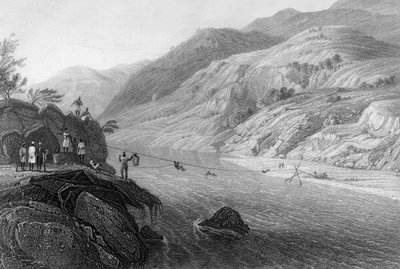 Floresta. de George Francis White