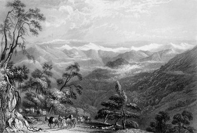 Floresta. de George Francis White