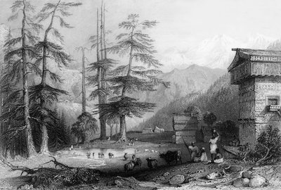 Floresta. de George Francis White