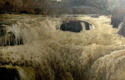 Salmão, salto, cenarth cai, cardiganshire, gales, 1878 de George Frank Miles