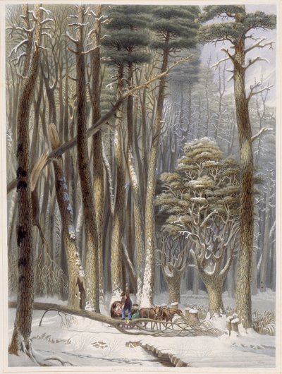 Inverno, Viajantes Impedidos em uma Floresta de Pinheiros, de Harveys Cenas da Floresta Primitiva da América, 1841 (aquatinta colorida à mão) de George Harvey
