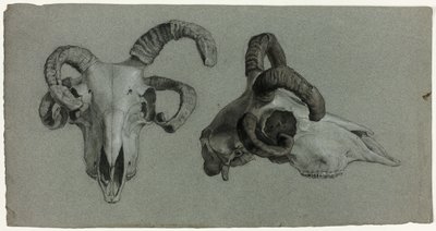 Crânios de carneiros de George Hayter