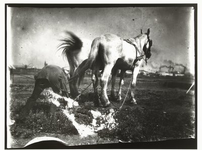 Arando um campo por cavalos de George Hendrik Breitner
