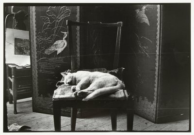 Gato em uma cadeira no estúdio de Breitner em Amsterdã de George Hendrik Breitner