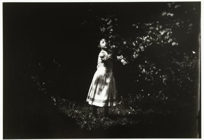Retrato de uma menina em um jardim de George Hendrik Breitner