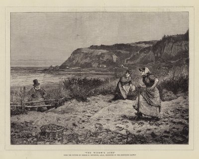 O Acre da Viúva de George Henry Boughton