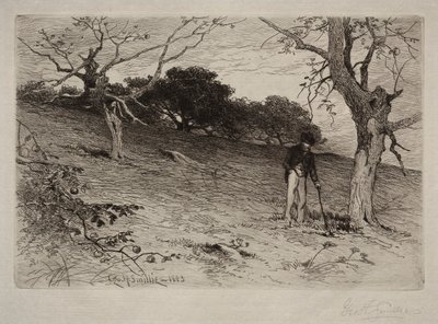 Paisagem, 1883. de George Henry Smillie