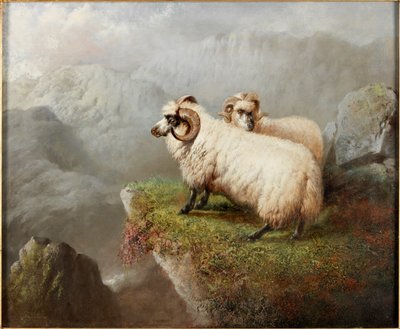 Ovelha em uma borda do penhasco, c.1865-68 de George Hepper