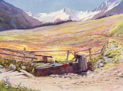 Início de junho, campos para lá de Praz de Fort, no Val Ferret, com o apoio do Groupe du Grand Saint-Bernard et du Grand Golliaz (litografia a cores) de George Jackson Flemwell