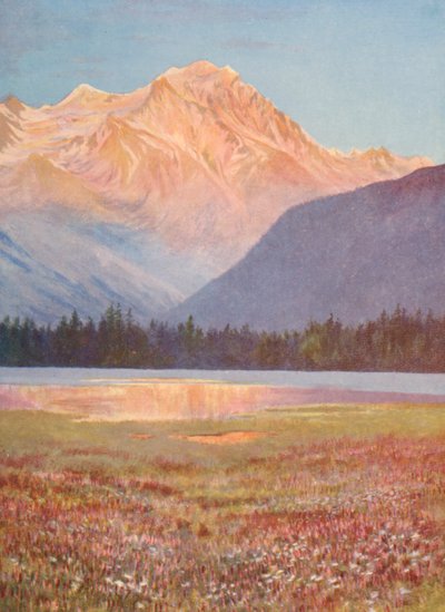 Fim de tarde entre os campos de Bistort cor-de-rosa no Lac Champex; pôr do sol no Grand Combin, julho (litografia a cores) de George Jackson Flemwell
