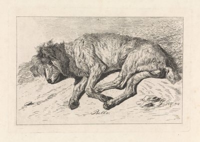 cachorro dormindo Bello (título no objeto) de George Jooss