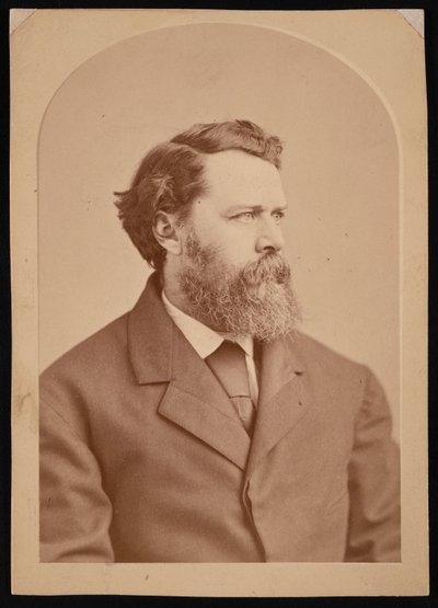 Retrato de Oliver Wolcott Gibbs 1822-1908, entre 1870 e 1873. de George K Warren