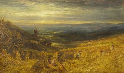 A Surrey Cornfield, c.1877 (óleo sobre tela) de George Lucas