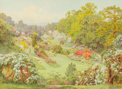 Flores da primavera (aguarela) de George Marks