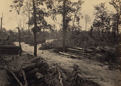 Campo de batalha da igreja de New Hope, Geórgia, n.º 1 de George N. Barnard