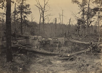 Campo de batalha de New Hope Church, Geórgia, n.º 2 de George N. Barnard