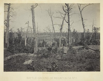 Campo de batalha de Resacca, GA, n.º 3 de George N. Barnard