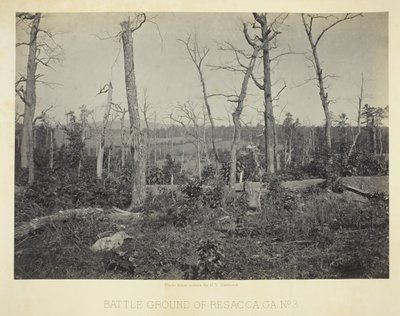Campo de Batalha de Resacca, GA, nº 3, 1866. de George N. Barnard