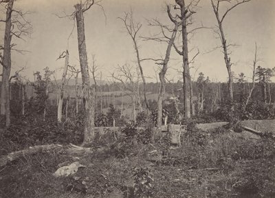 Campo de Batalha de Resacca, Geórgia No. 3, década de 1860. de George N. Barnard
