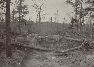 Campo de batalha da igreja nova da esperança, Geórgia, no. 2, 1865-1866. de George N. Barnard