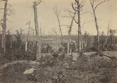 Campo de batalha de Resaca, Geórgia, n.º 3 de 1864 (foto) de George N. Barnard