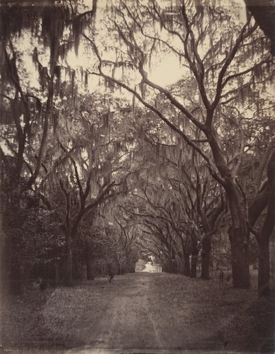 Cemitério de Bonaventure, a quatro milhas de Savannah de George N. Barnard