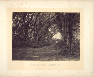 Buen-Ventura, Savannah, Geórgia de George N. Barnard