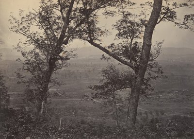 Botão do pomar de Mission Ridge, década de 1860. de George N. Barnard
