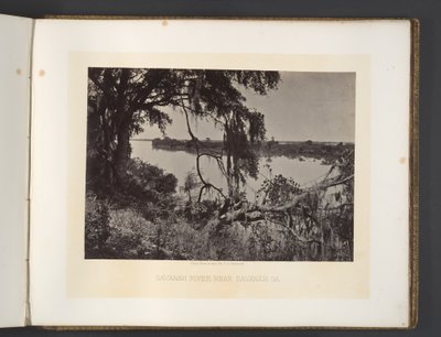 Rio Savannah, perto de Savannah, Geórgia de George N. Barnard
