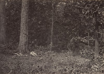 Cena da morte do general McPherson, 1864 ou 1866. de George N. Barnard