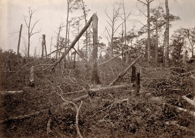 The "Hell Hole", New Hope Church, Geórgia, de Photographic Views of Sherman
