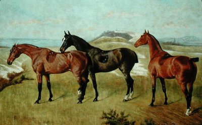 Três Cavalos: Whissendine, Swallow e Tiptop de George Paice