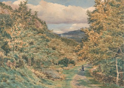 Uma estrada perto de Bettws-y-Coed de George Price Boyce