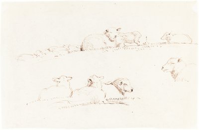 Estudos de ovelhas no pasto de George Richmond
