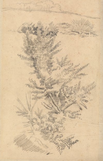 Estudo de Árvores, etc., num Prado de George Richmond