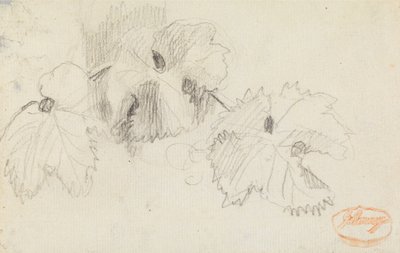 Estudo das Folhas 1 de George Romney