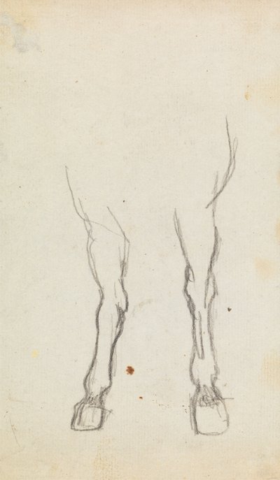 Estudo das patas dianteiras de um cavalo de George Romney