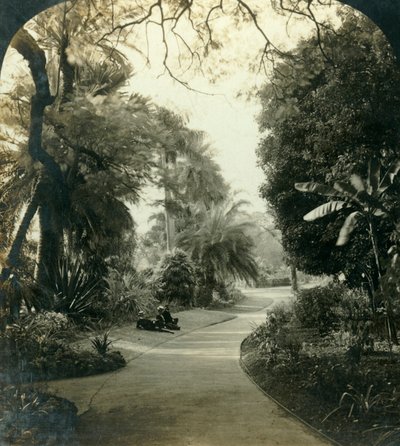 Caminho no Queens Park, Brisbane, Austrália, c1909. de George Rose