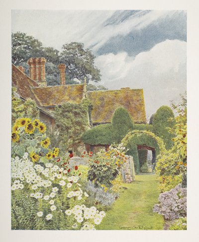 Cleeve Prior, Girassóis, ilustração em 