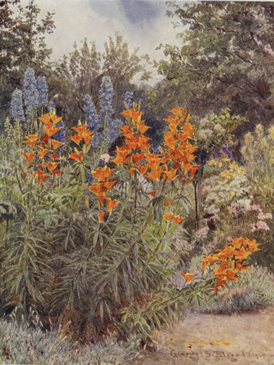 Lírios laranja e Larkspur de George Samuel Elgood